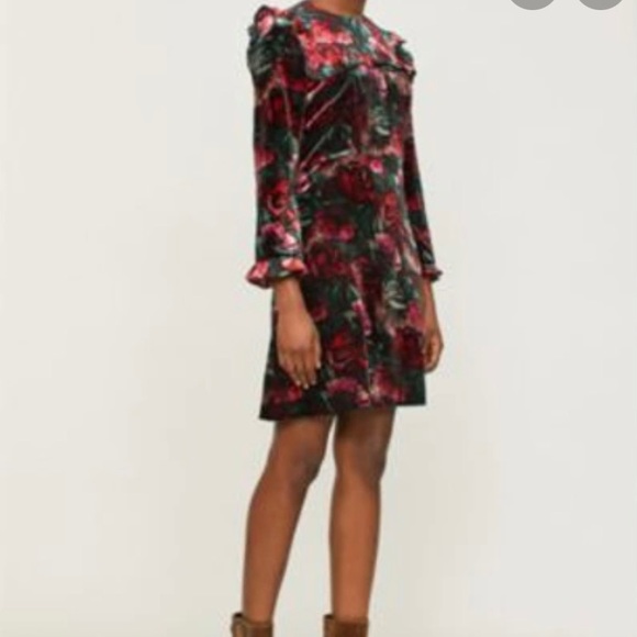 Sandro - Tolerance Floral Velvet Ruffle Dress - Picture 6 of 9